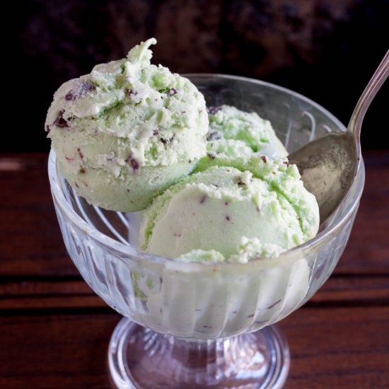 Mint Chocolate Chip Ice Cream